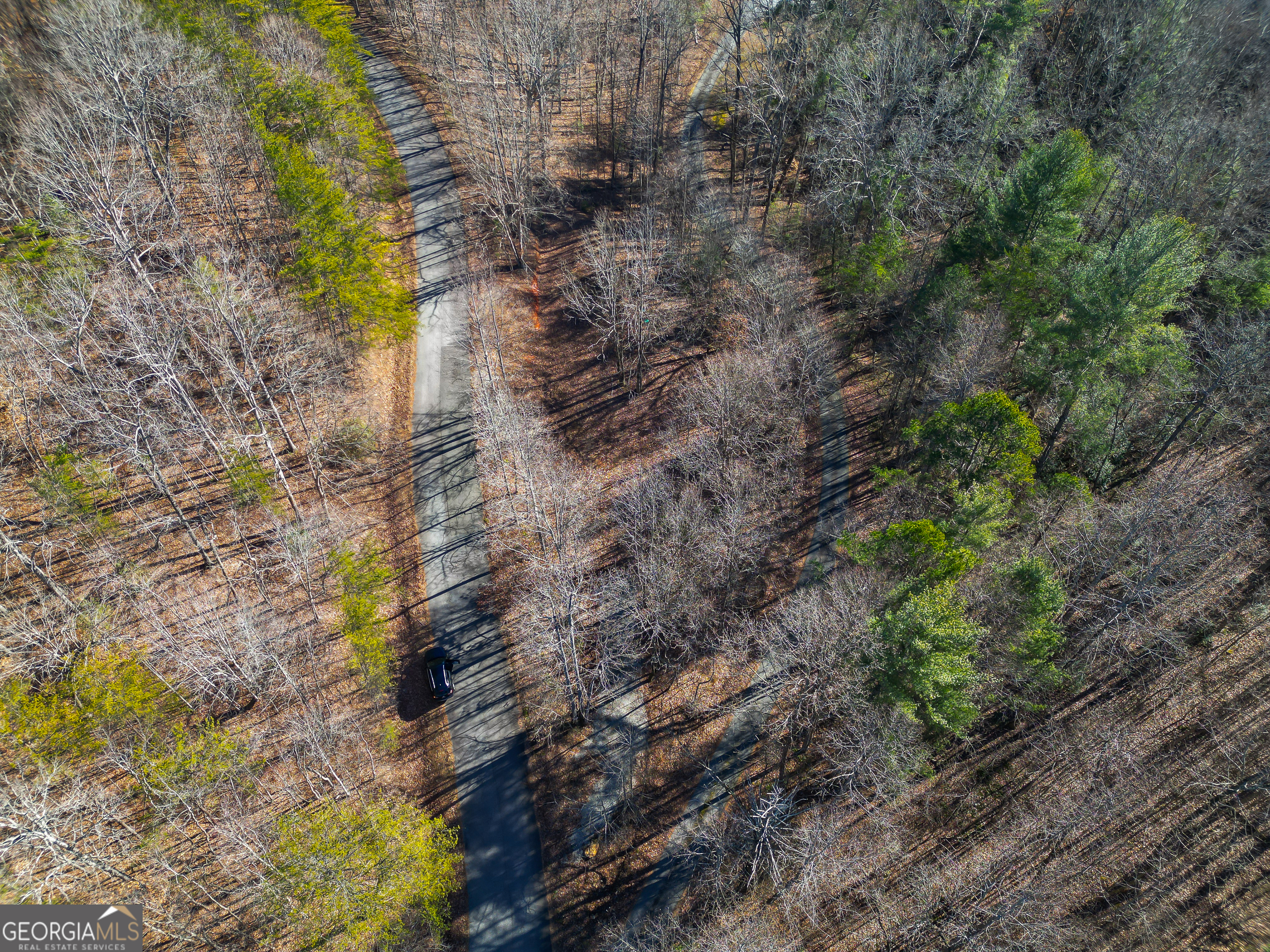 Sautee Nacoochee, Georgia 30571, United States, ,Land,Active,21258