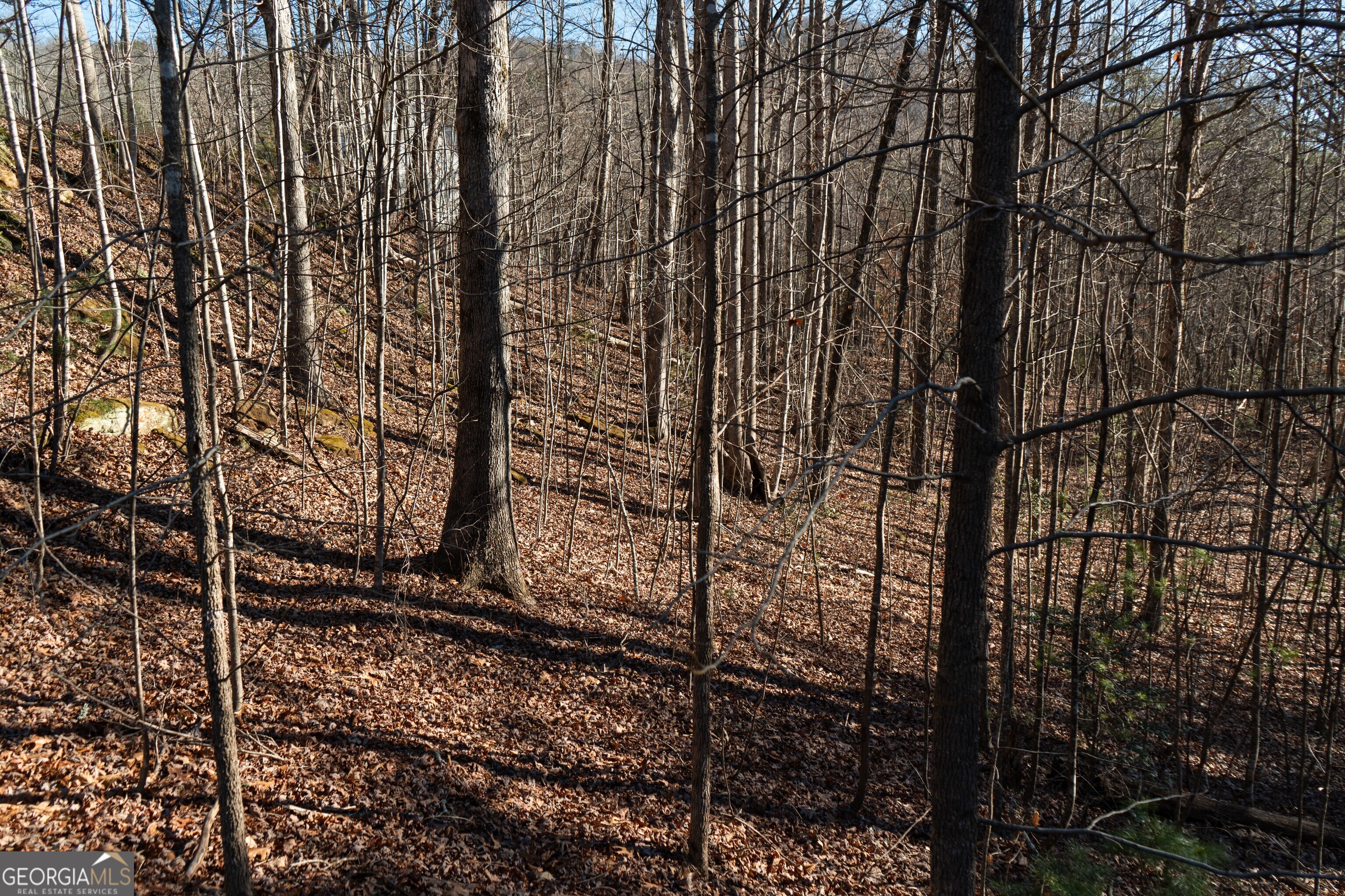 Sautee Nacoochee, Georgia 30571, United States, ,Land,Active,21258