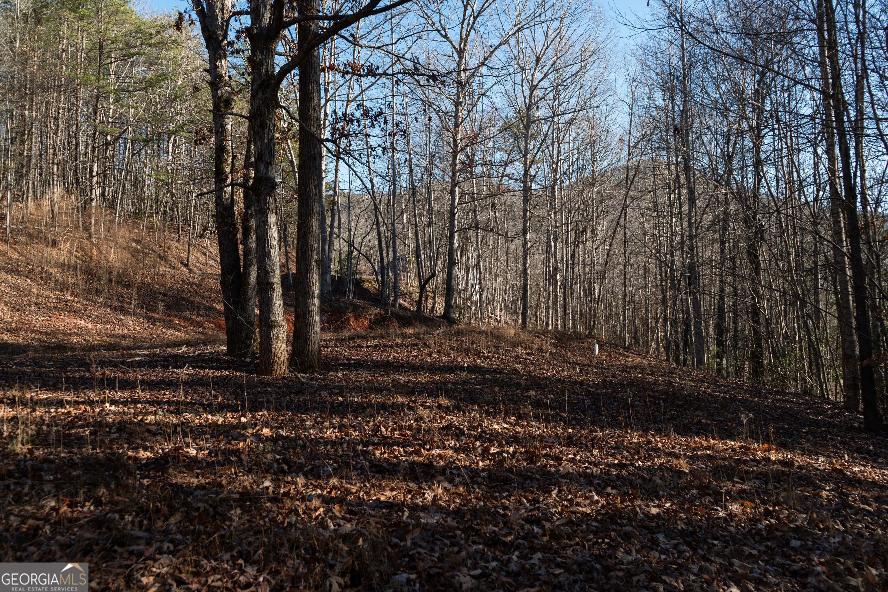 Sautee Nacoochee, Georgia 30571, United States, ,Land,Active,21258