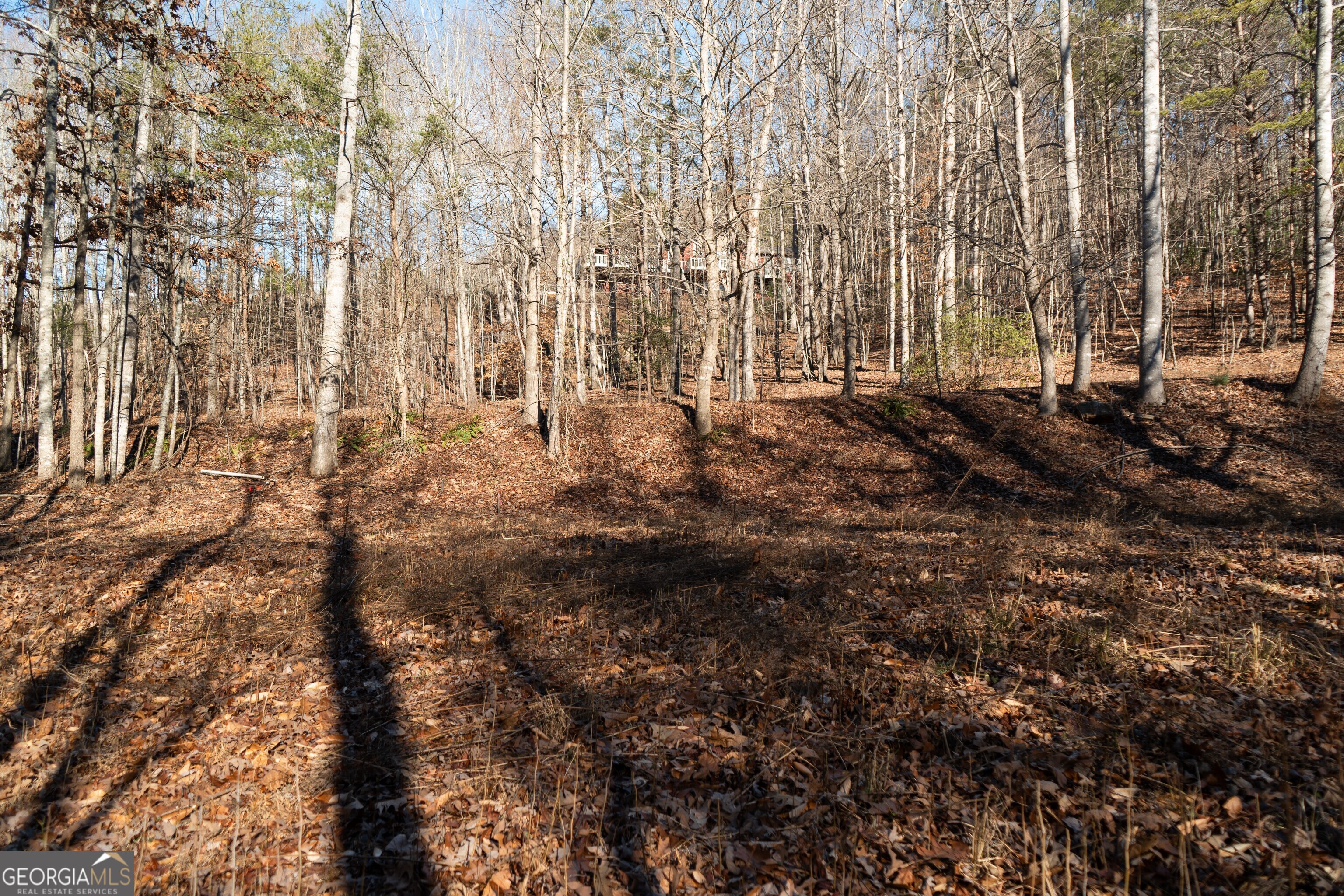 Sautee Nacoochee, Georgia 30571, United States, ,Land,Active,21258