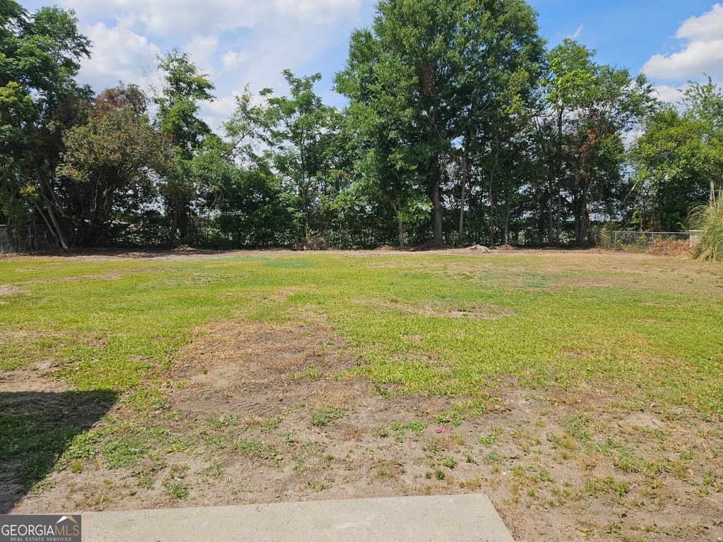 Photo of 347 Church Street, Cobbtown, GA 30420 (MLS # 10758354)