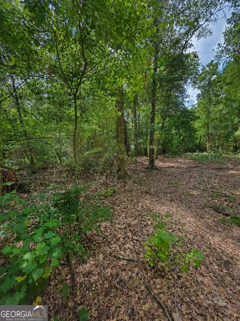 Photo of 00 Second Avenue, Waynesville, GA 31566 (MLS # 10825736)