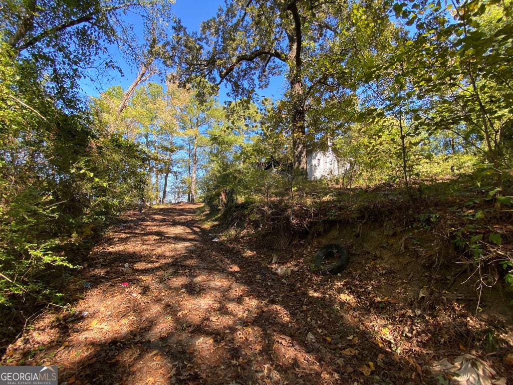 Photo of 507 W 13th Street NE, Rome, GA 30165 (MLS # 10875578)
