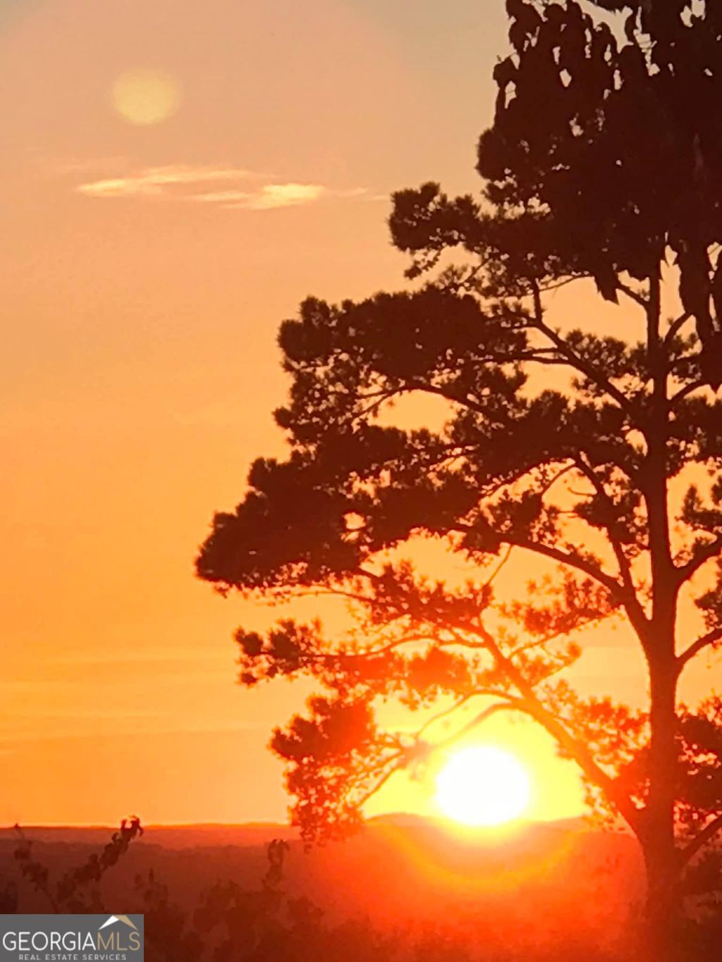 Photo of 43 Clearview Drive, Cartersville, GA 30121 (MLS # 10731707)