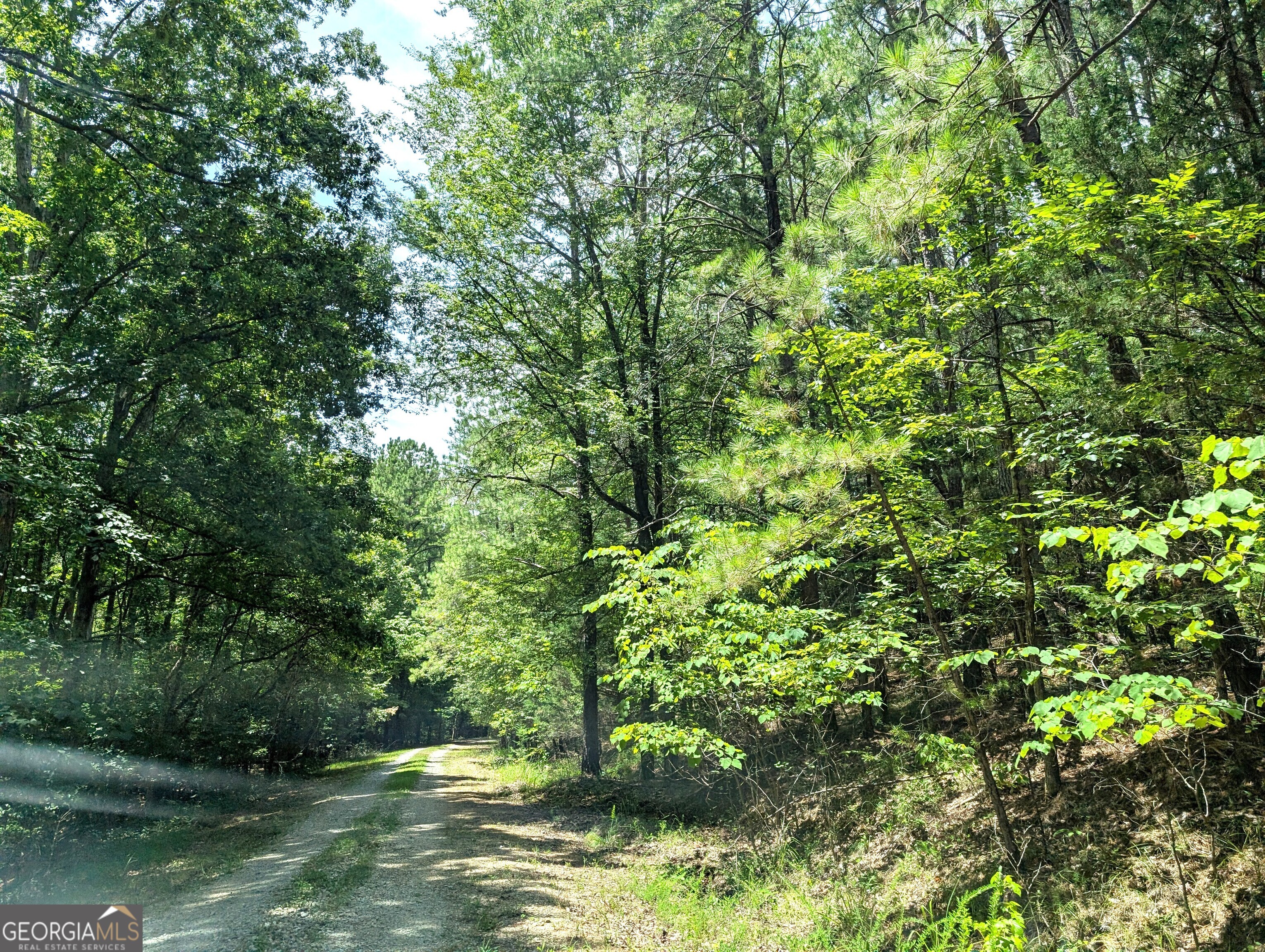4443 Fosters Mill RD
