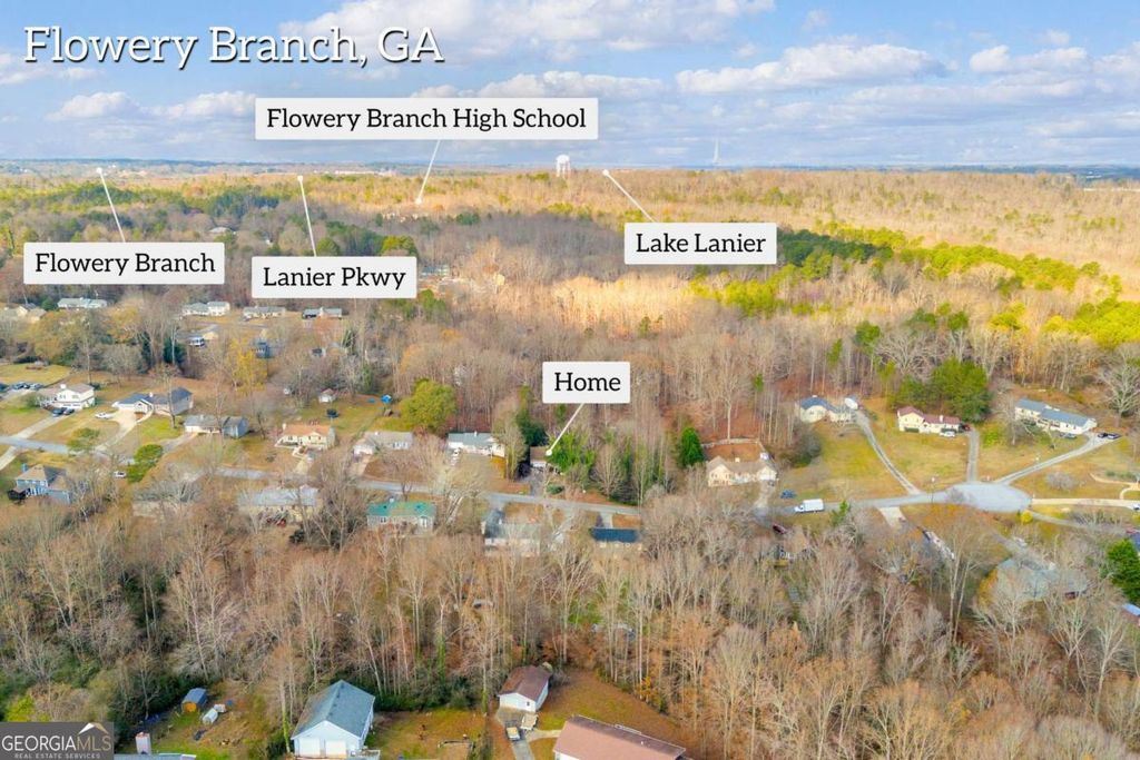 Photo of 4661 Spring Ridge Drive, Flowery Branch, GA 30542 (MLS # 10656050)