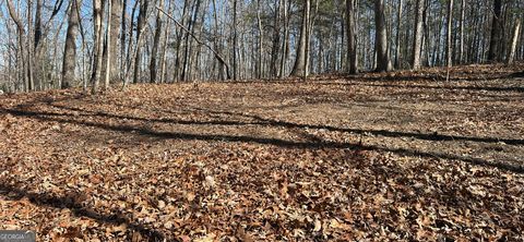 Photo of 7 Ivy Hills Drive, Cleveland, GA 30528 (MLS # 10704083)