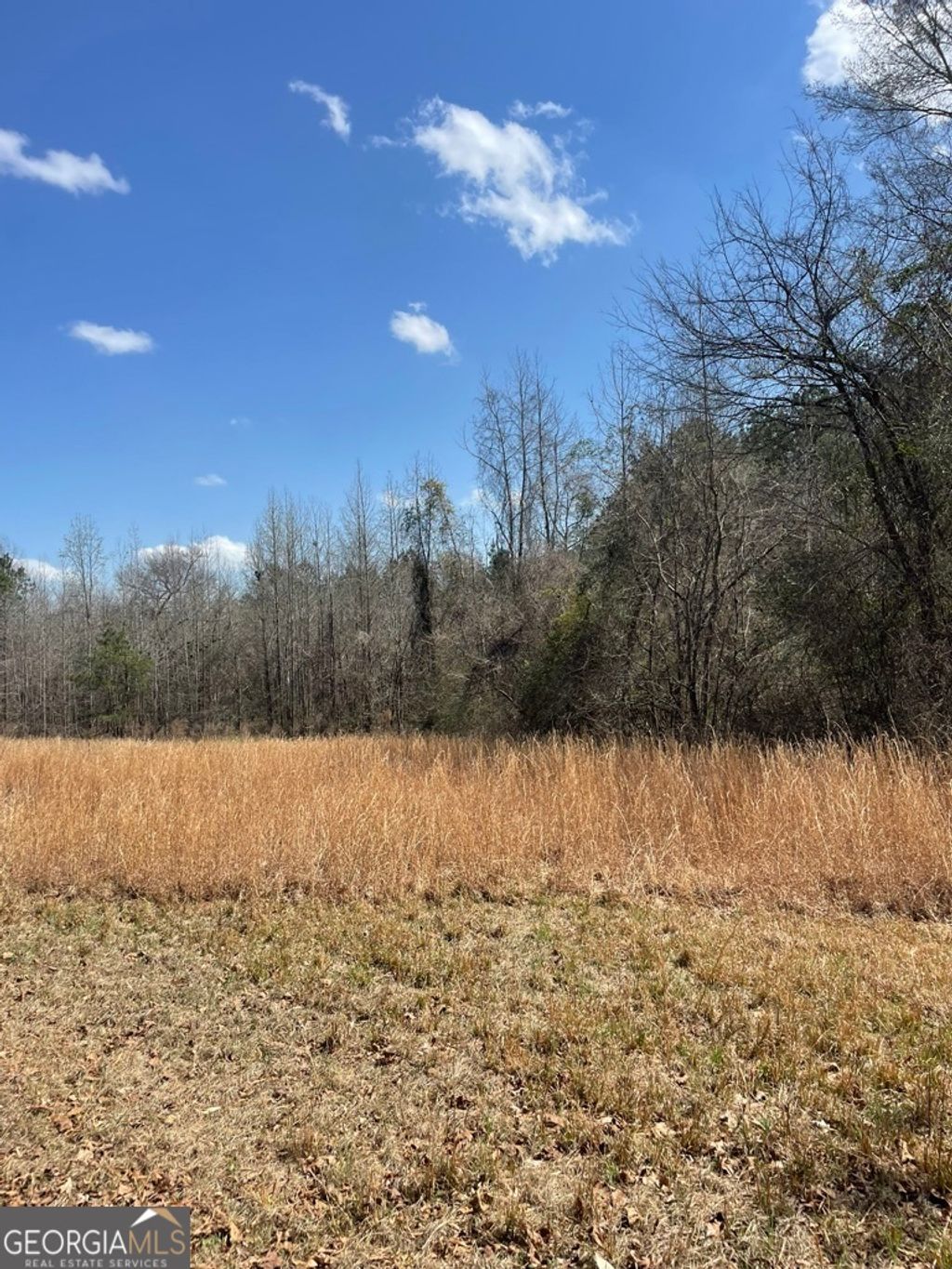 Photo of 0 Minor, Roberta, GA 31078 (MLS # 10712241)