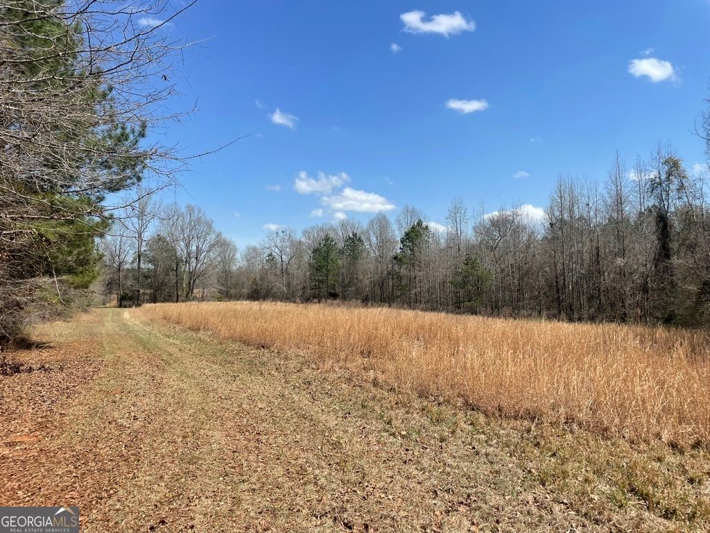 Photo of 0 Minor, Roberta, GA 31078 (MLS # 10712241)