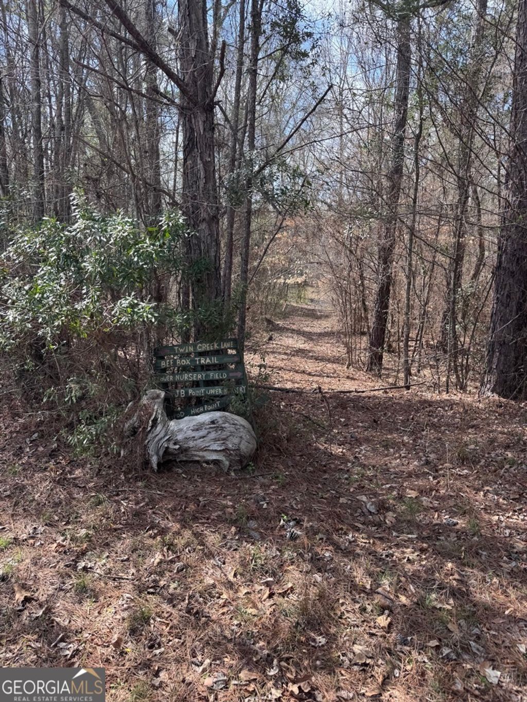 Photo of 0 Minor, Roberta, GA 31078 (MLS # 10712241)