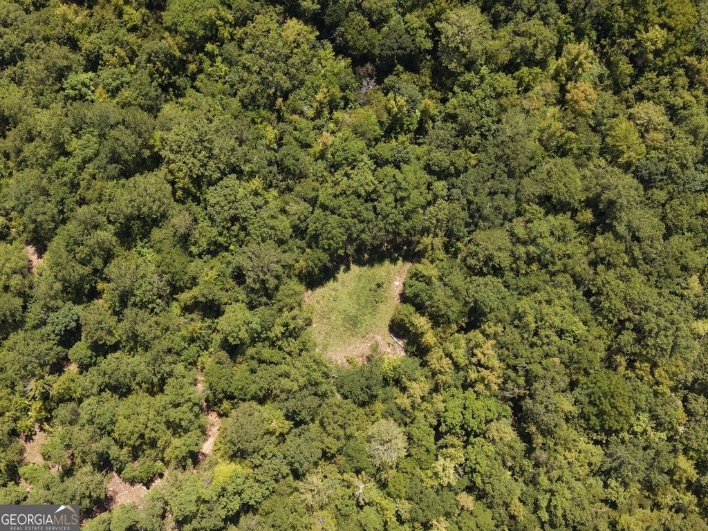 Photo of 2055 W Bypass Road SW, Milledgeville, GA 31061 (MLS # 10841924)