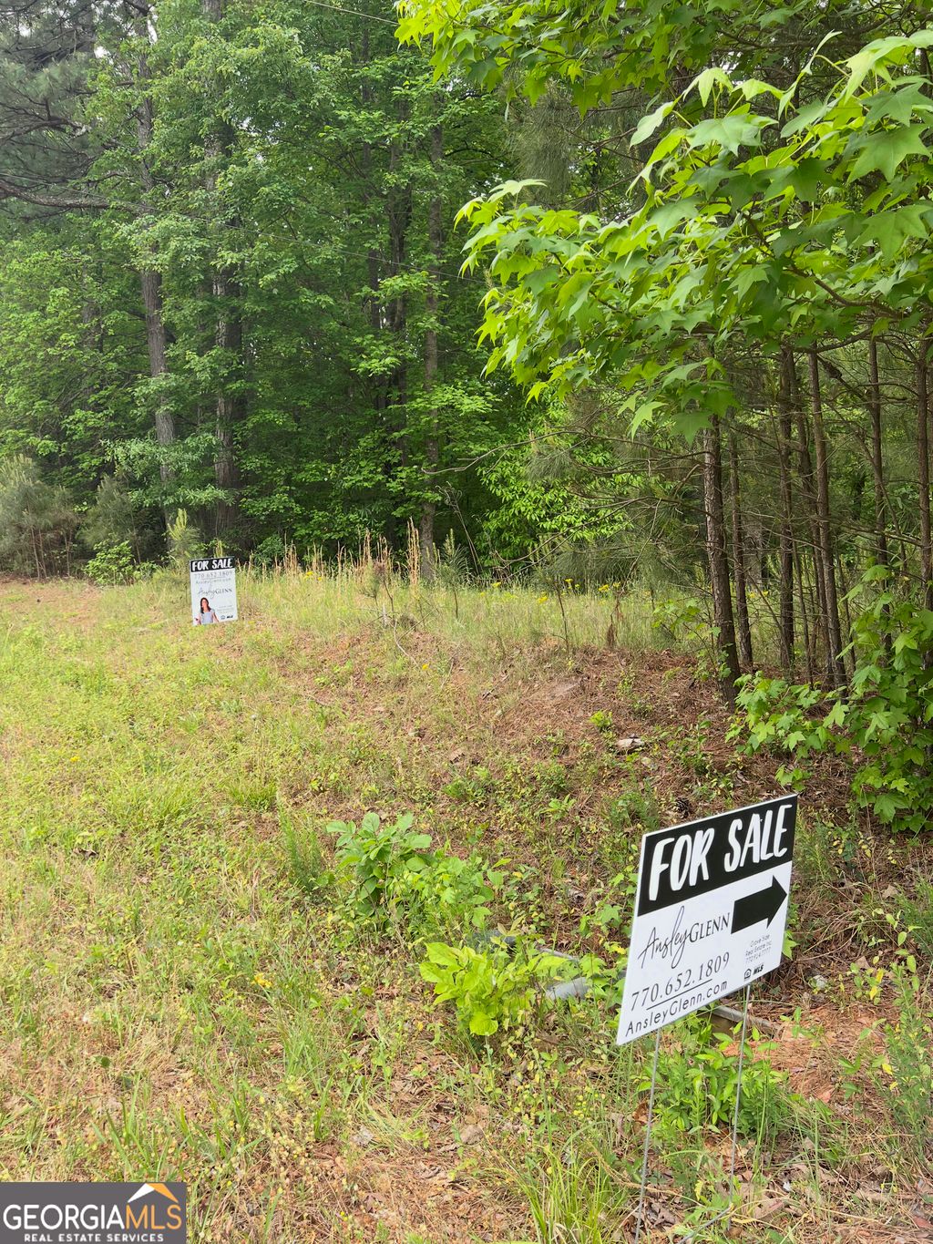 Photo of 1585 N Ola Road, McDonough, GA 30252 (MLS # 10756110)