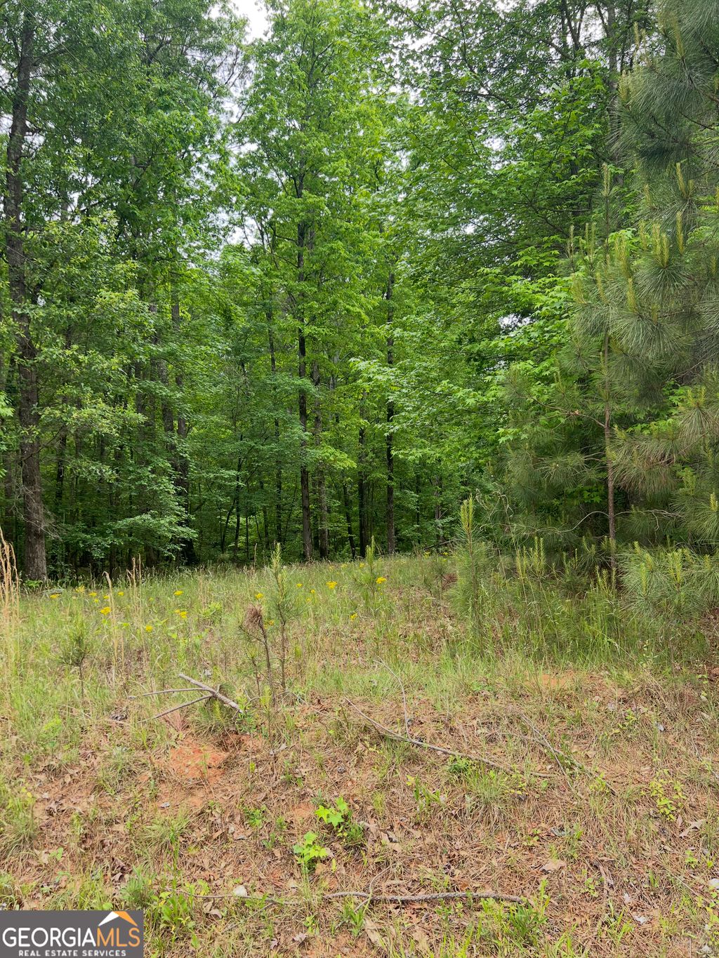 Photo of 1585 N Ola Road, McDonough, GA 30252 (MLS # 10756110)
