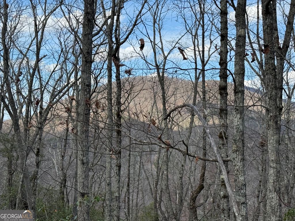 Photo of 145 Timber Rock Drive, CLEVELAND, GA 30528 (MLS # 10710323)