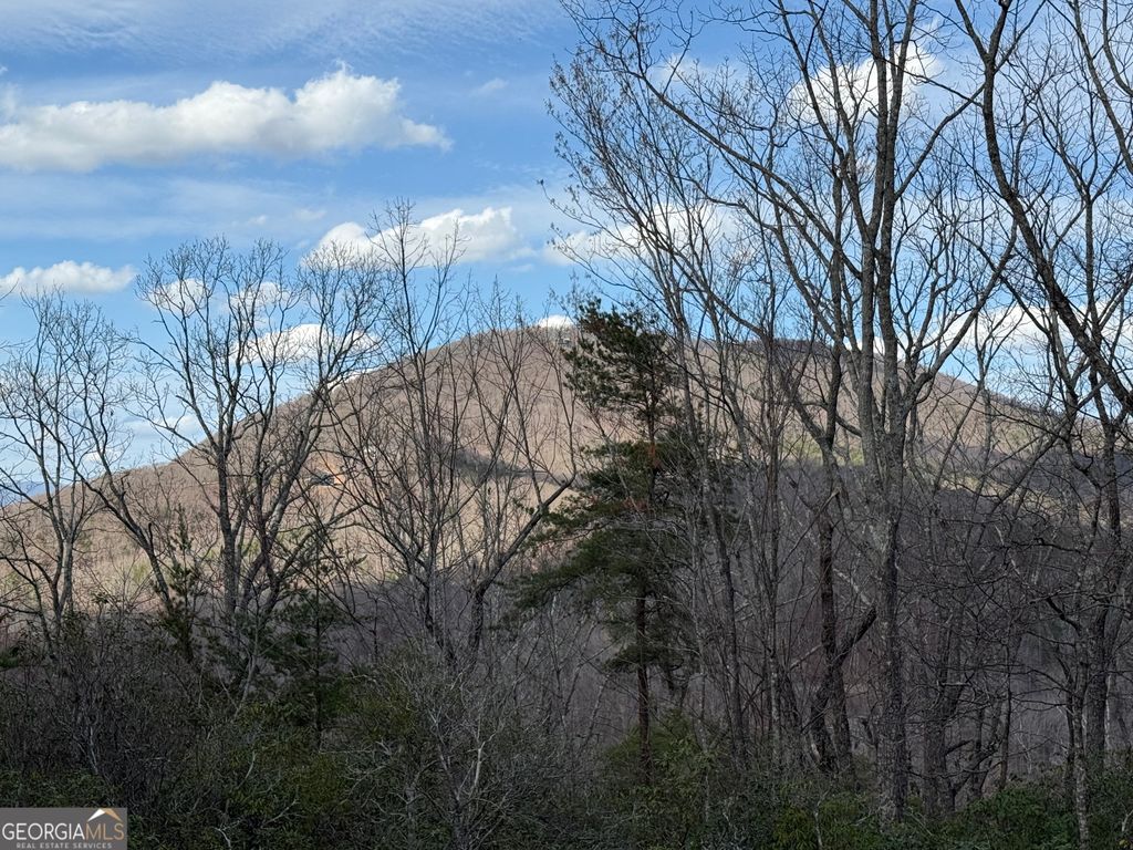 Photo of 145 Timber Rock Drive, CLEVELAND, GA 30528 (MLS # 10710323)