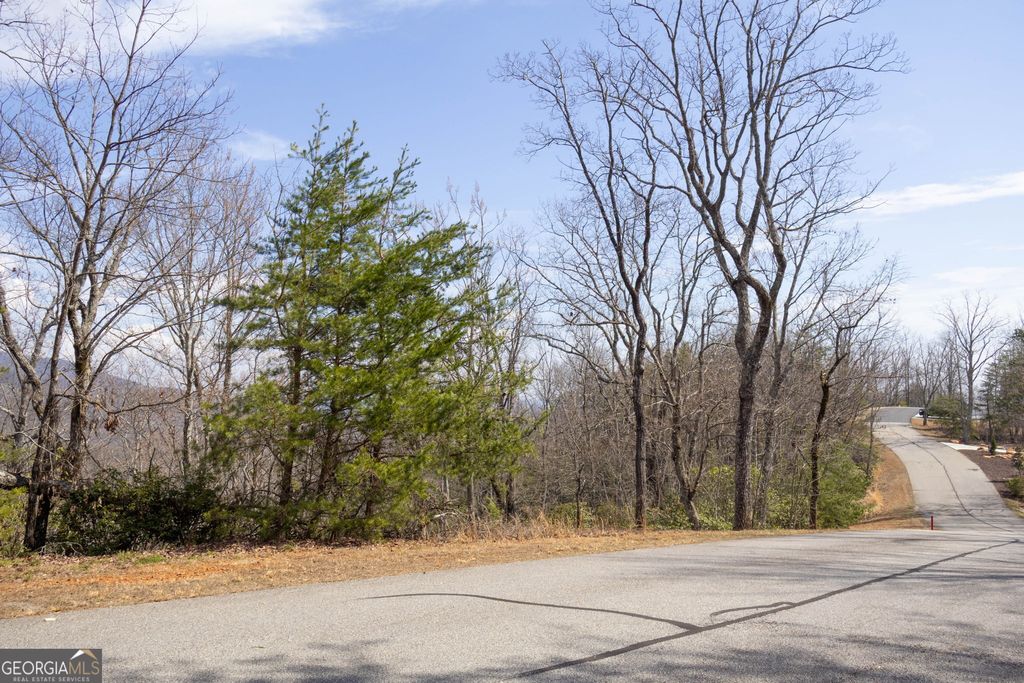 Photo of 145 Timber Rock Drive, CLEVELAND, GA 30528 (MLS # 10710323)