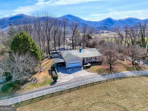 16 Riverview LN Dillard GA 30537