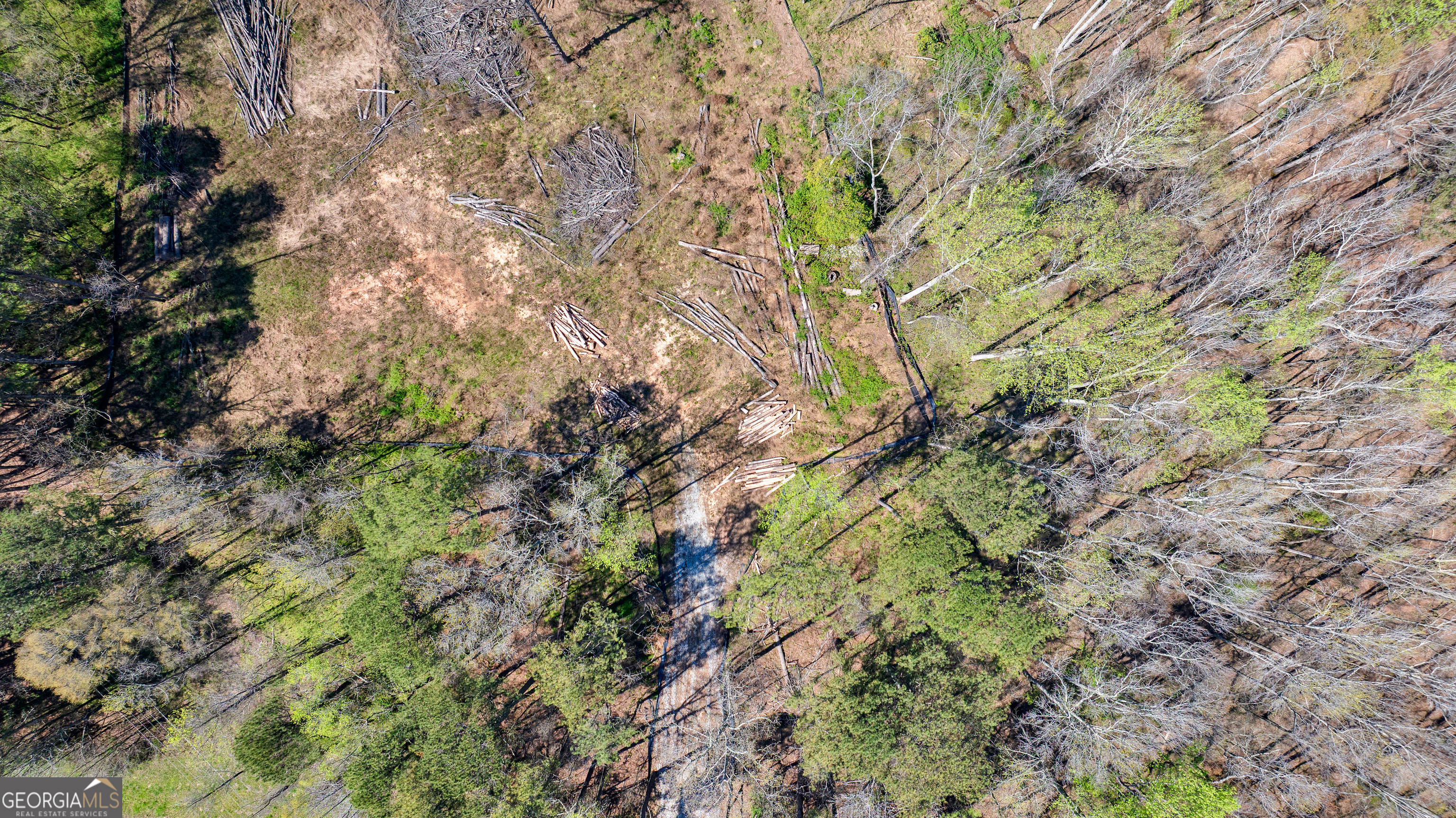 BTWN 1653 & 1693 Hwy 85 South