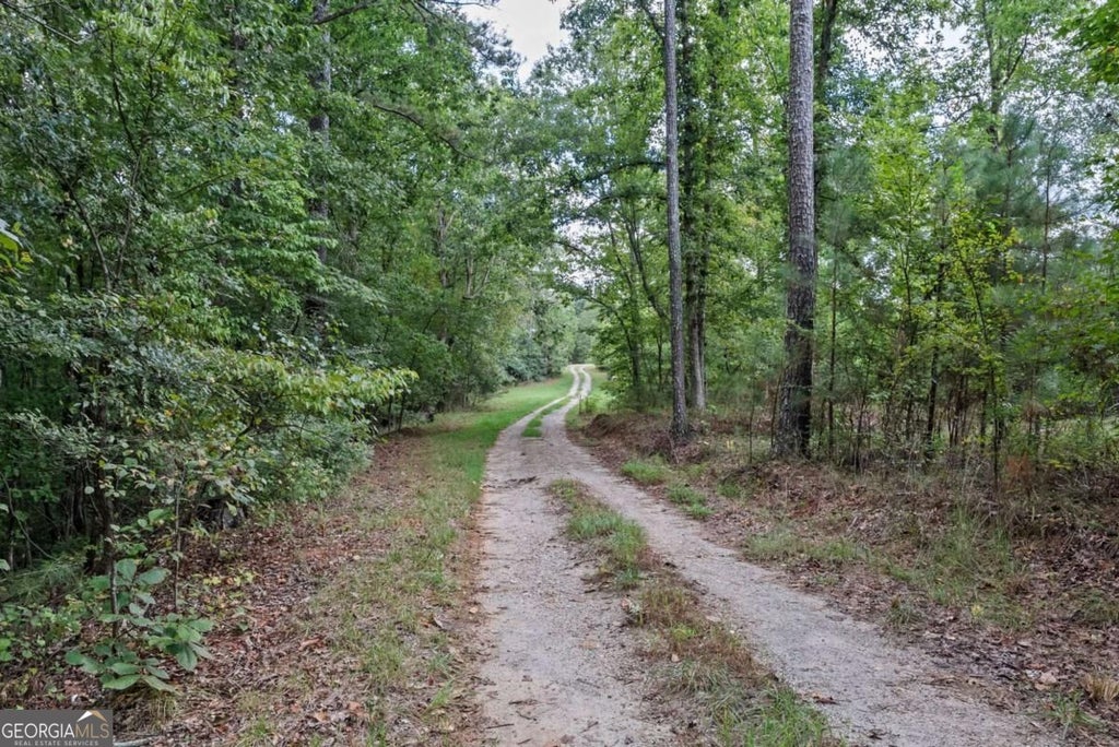 Photo of 1032 Washington Road, Lexington, GA 30648 (MLS # 10847366)