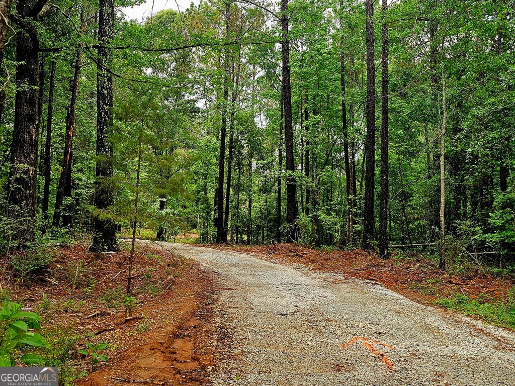 Photo of 0 School House Hill Road, Franklin, GA 30217 (MLS # 10816885)