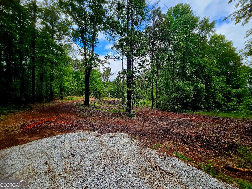 Photo of 0 School House Hill Road, Franklin, GA 30217 (MLS # 10816885)