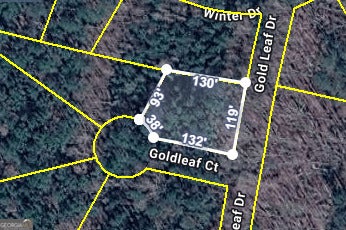 Photo of 0 Gold Leaf Drive, Grantville, GA 30220 (MLS # 10808263)