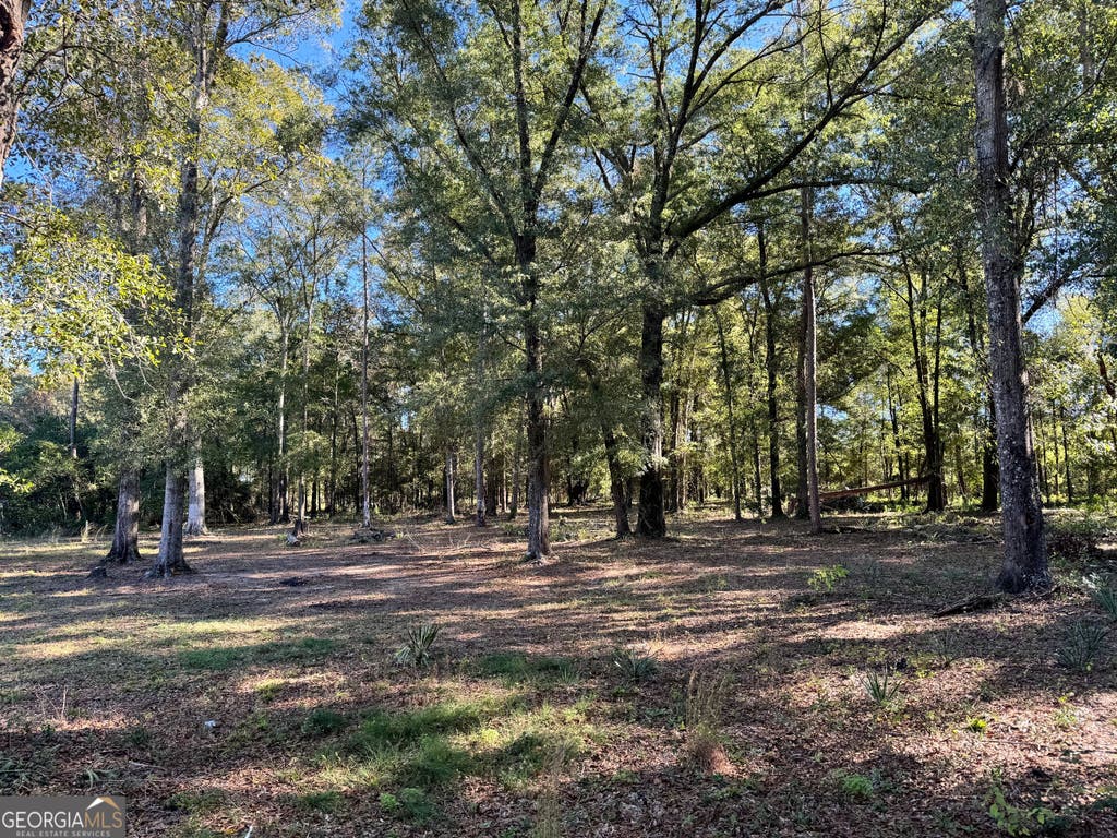 Photo of 443 Fire Station Road, Vienna, GA 31092 (MLS # 10800054)