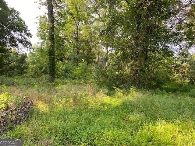 Photo 6 of 9 of 3207 Butner land