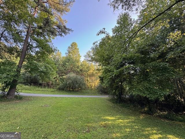 ^Build your MOUNTAIN HOME & Live Where Serenity Meets Adventure. Discover the magic of mountain living on this beautiful 1.18-acre wooded lot w/ no restrictions & no HOA fees w/ amazing gentle/level terrain making it all usable. Located convenient to both downtown Blue Ridge & McCaysville on all paved roads. Wooded w/ towering hardwoods & native flora, this parcel is perfectly suited for building your dream home or weekend retreat. Utilities already to the property including power, phone, internet & cable. Enjoy the best of both worlds-peaceful seclusion and proximity to vibrant amenities. You're just minutes from charming local dining, boutique shopping, and a gateway to outdoor adventures like hiking, biking, and whitewater rafting. Whether you're seeking tranquility or thrill, this land offers it all. Come experience the "Land of Ahhhs" for yourself!