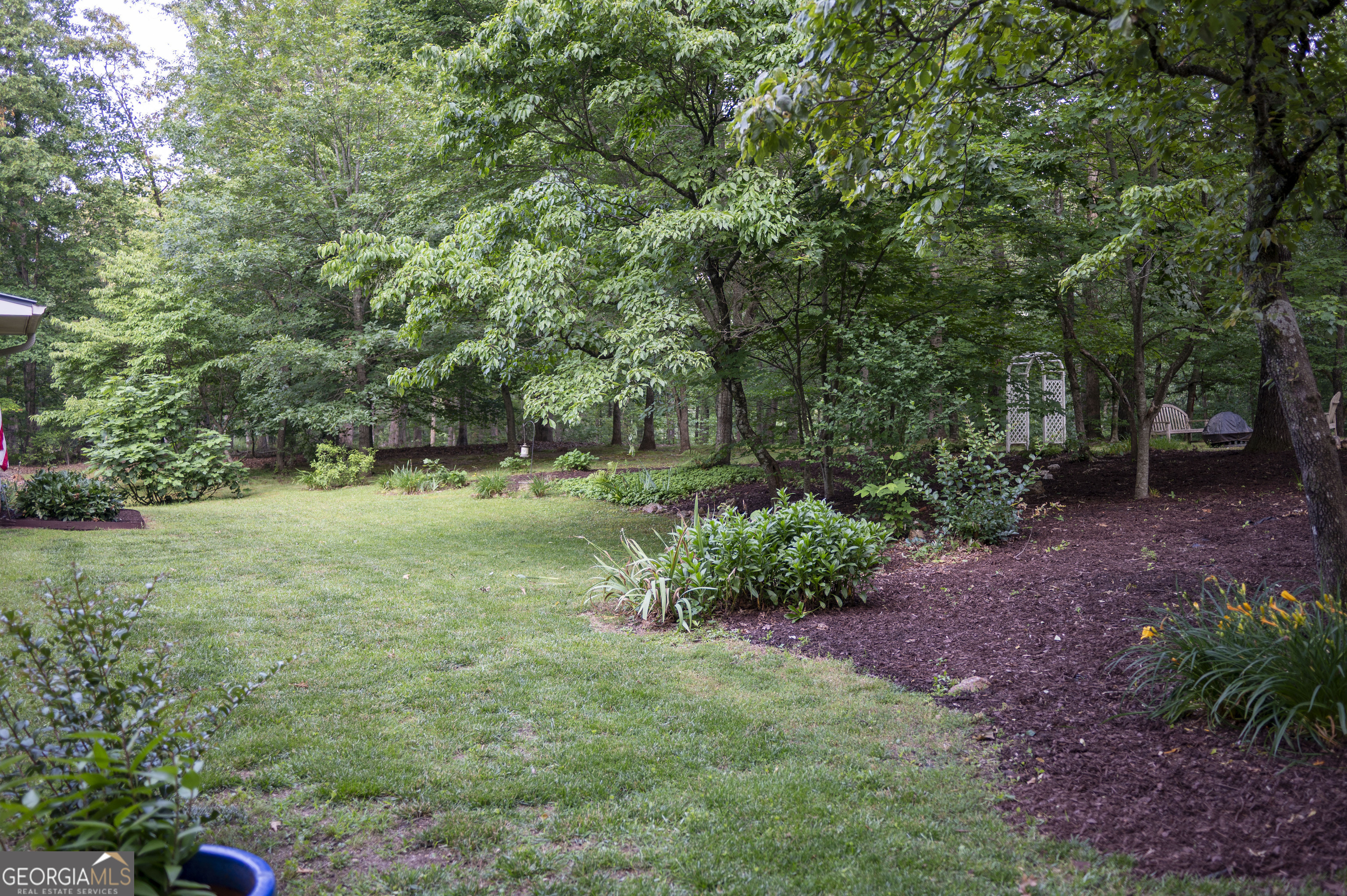 323 McCartan TRL