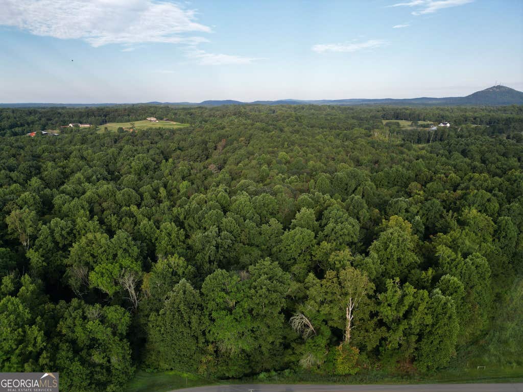 Photo of 0 N Broad River Road, Eastanollee, GA 30538 (MLS # 10834597)