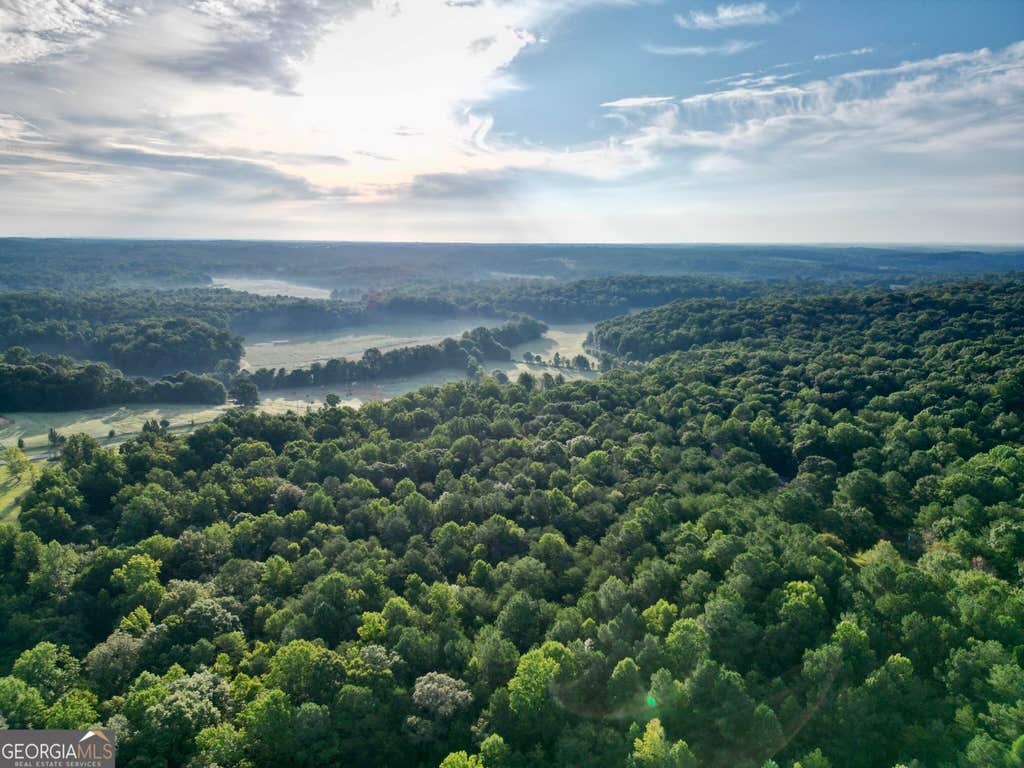 Photo of 0 N Broad River Road, Eastanollee, GA 30538 (MLS # 10834597)