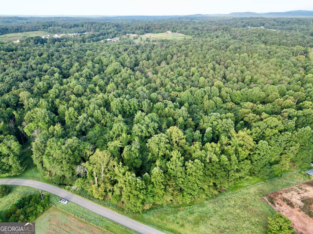 Photo of 0 N Broad River Road, Eastanollee, GA 30538 (MLS # 10834597)