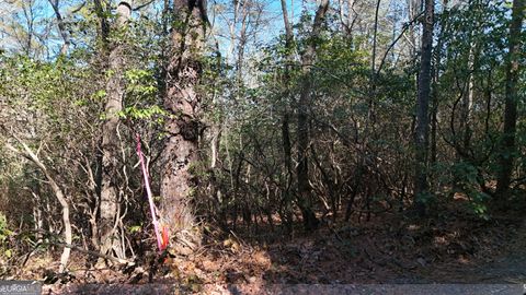 LOT 2 Crumley Creek RD Sautee Nacoochee GA 30571