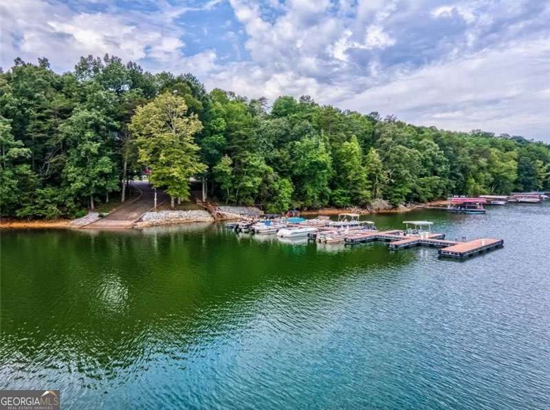 Timberidge on Lake Lanier - Residential