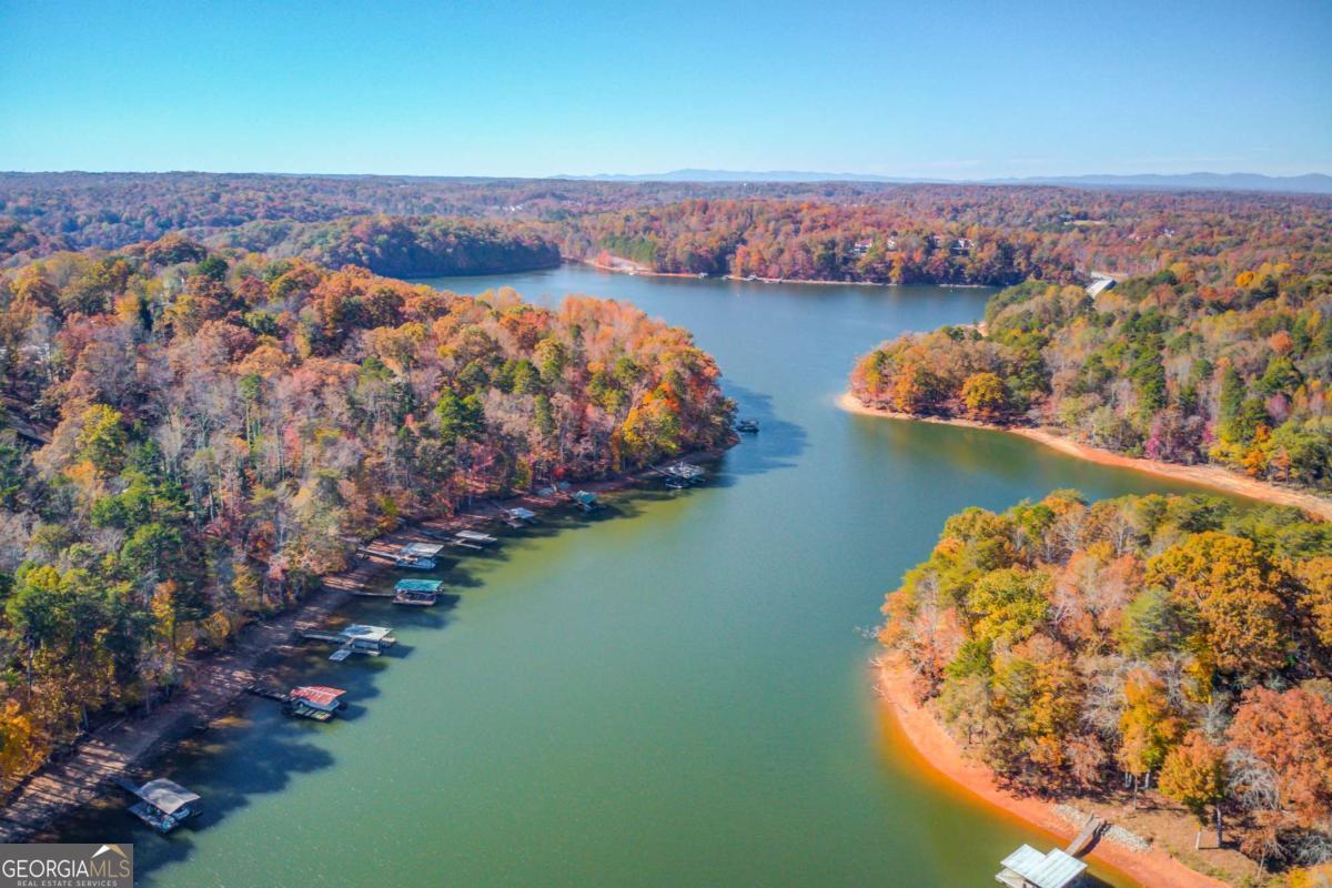 Timberidge on Lake Lanier - Residential
