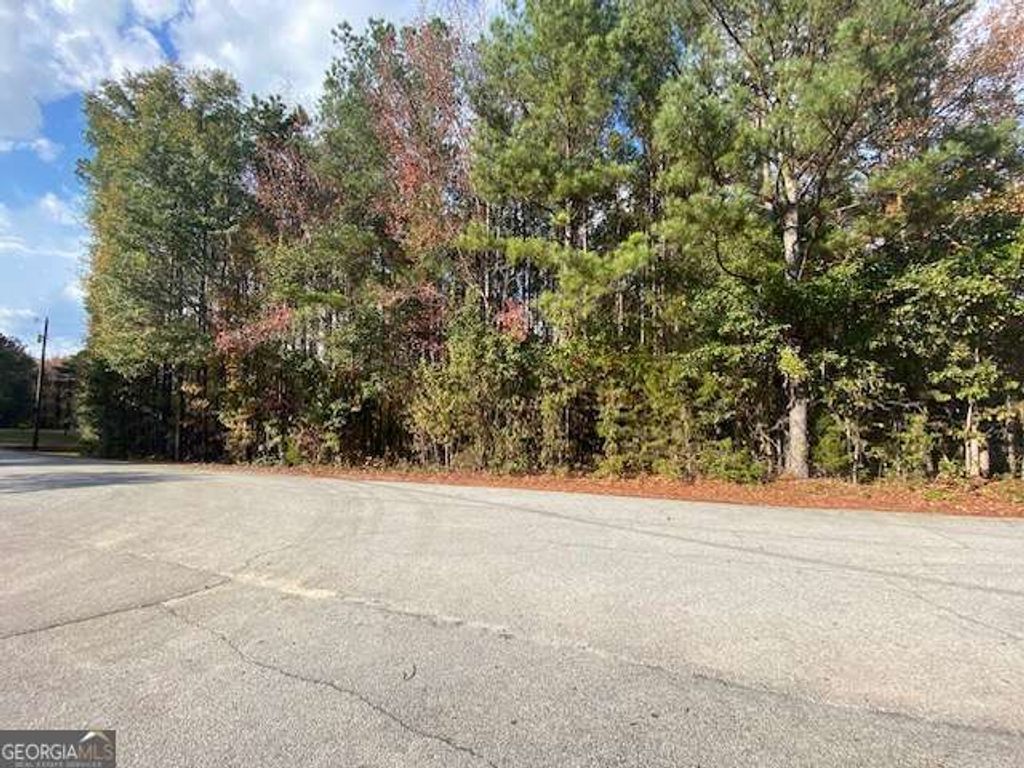 Photo of 0 0, Mcdonough, GA 30253 (MLS # 10658203)