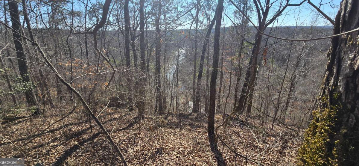 00001 Flatbottom RD