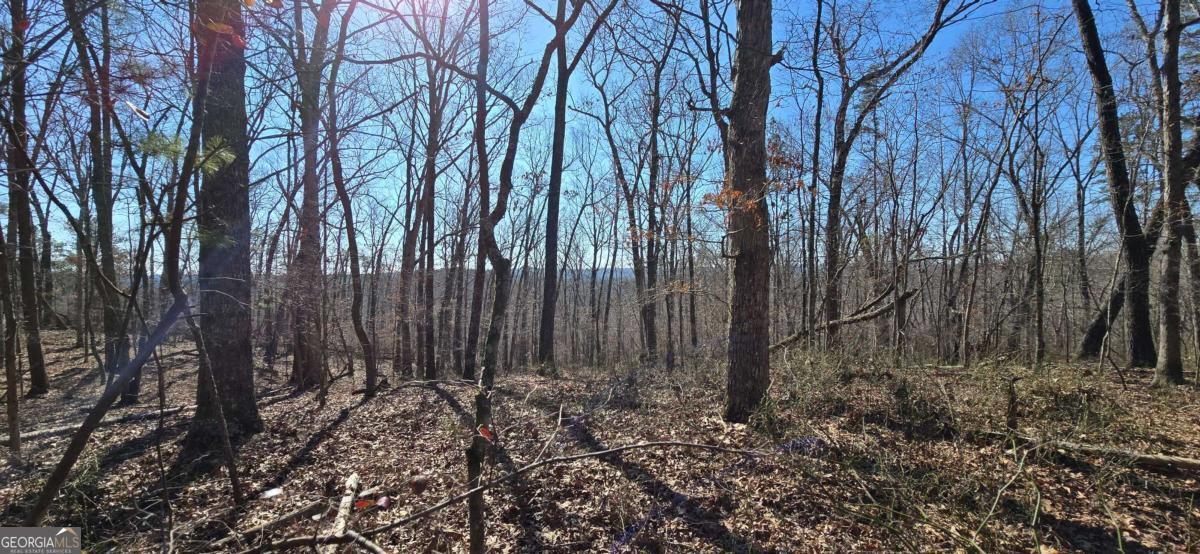 00001 Flatbottom RD