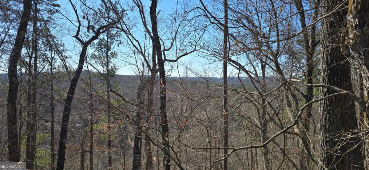 00001 Flatbottom RD