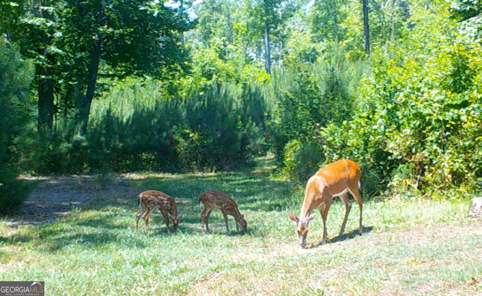 0 Lindsey Lake RD