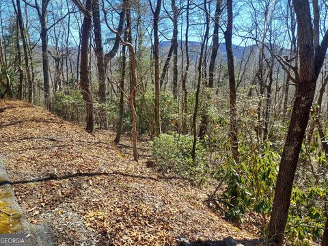 0 LOT 41 Pipetrack Gap RD Scaly Mtn NC 28775
