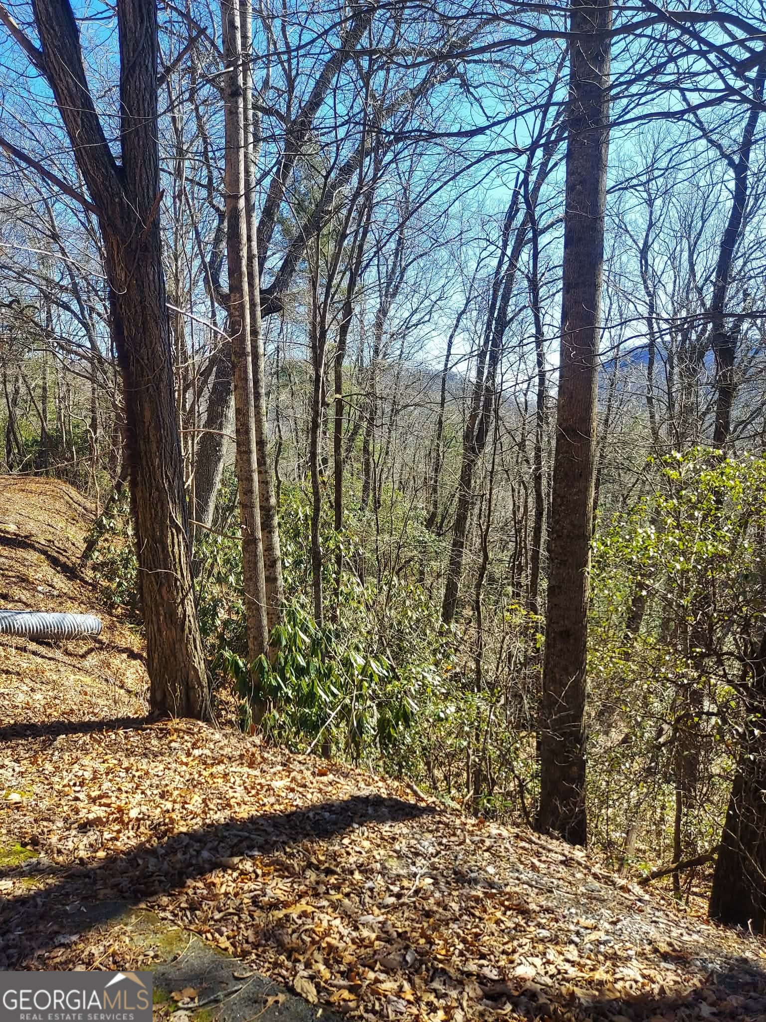 0 LOT 41 Pipetrack Gap RD