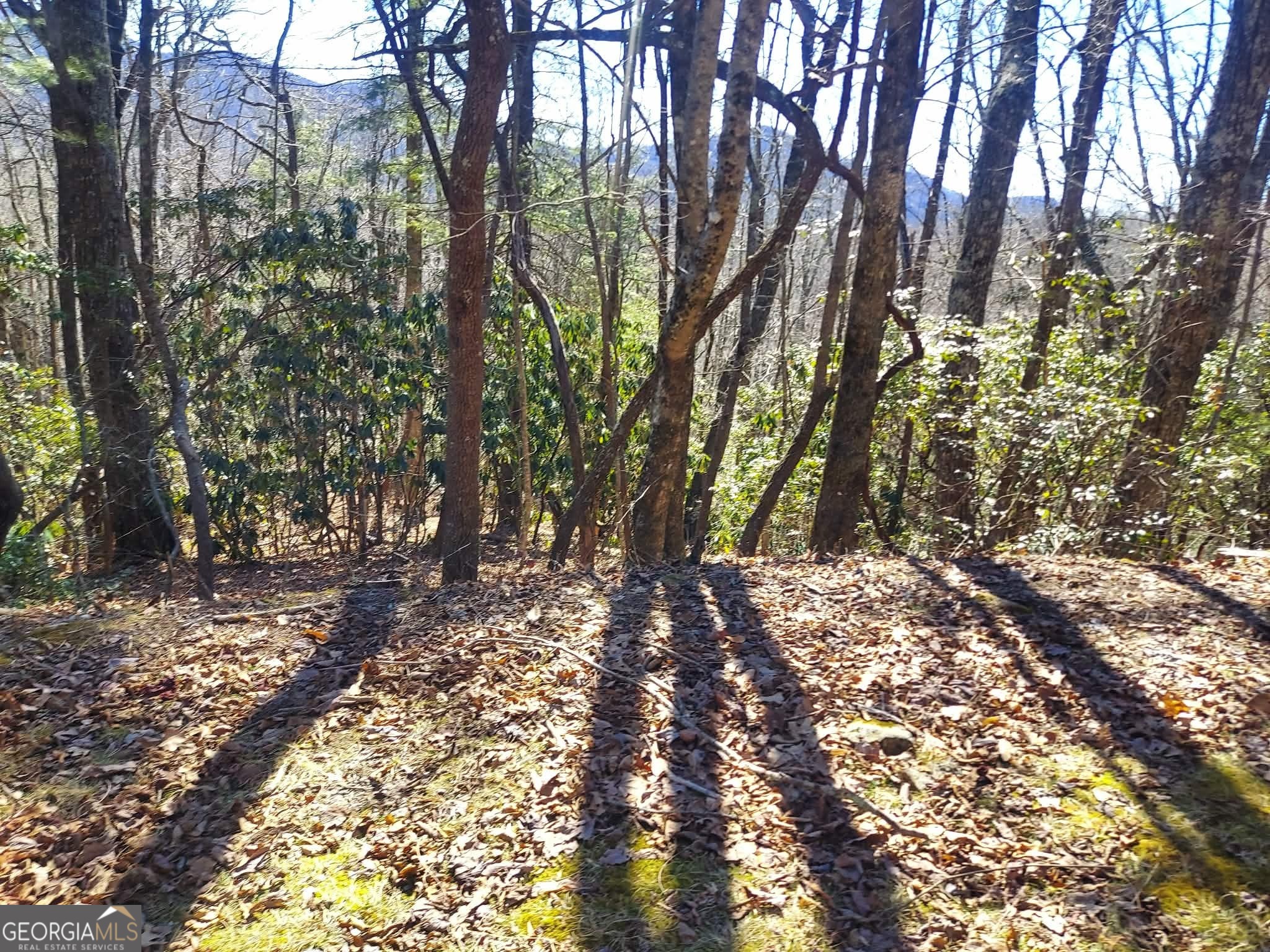 0 LOT 41 Pipetrack Gap RD