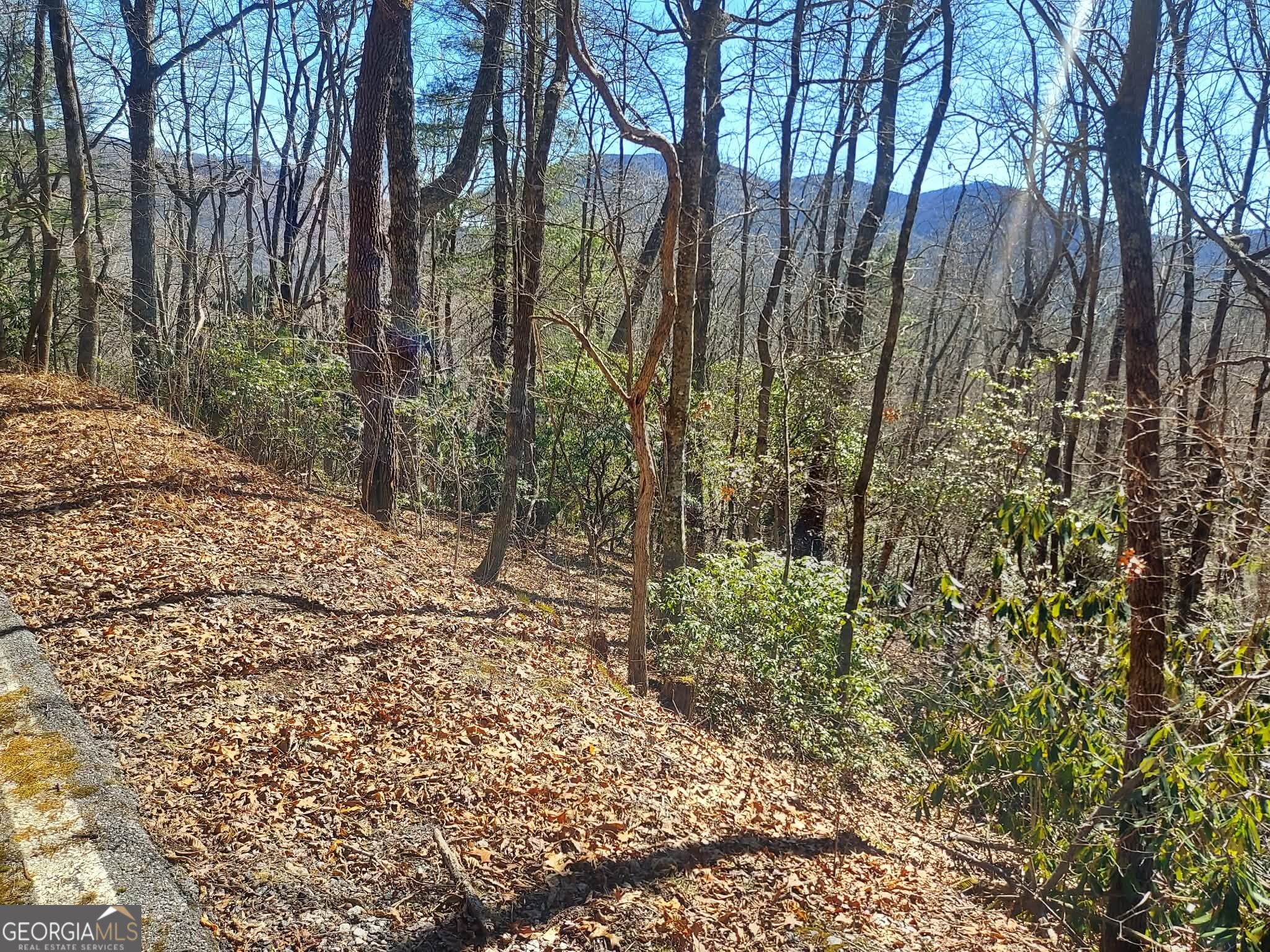 0 LOT 41 Pipetrack Gap RD