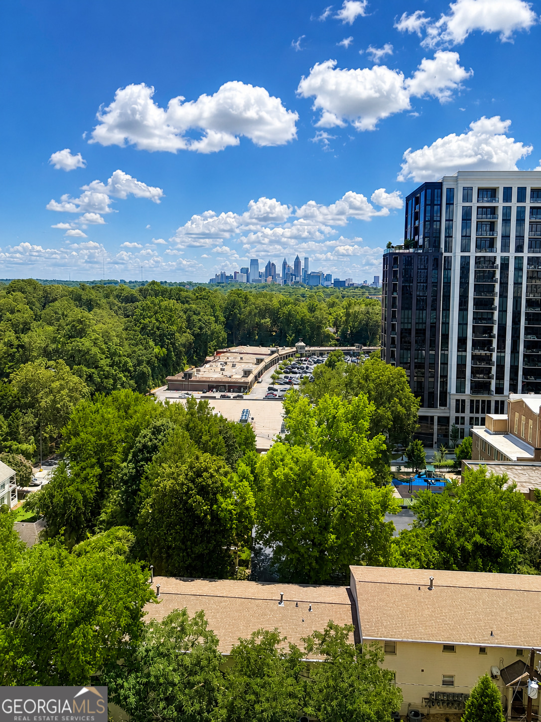 2479 Peachtree RD NE APT 1003