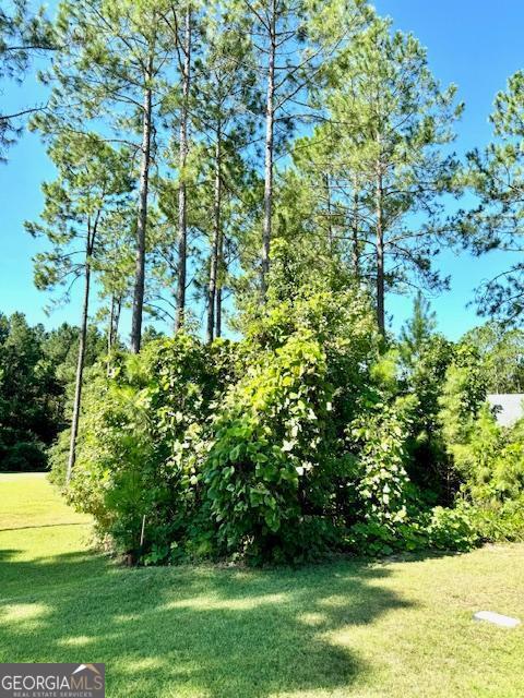 Statesboro, Georgia 30458, United States, ,Land,Pending,46085