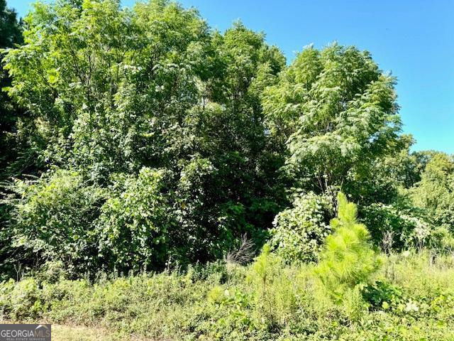 Statesboro, Georgia 30458, United States, ,Land,Pending,46085