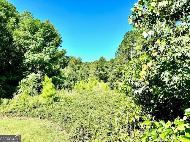 Statesboro, Georgia 30458, United States, ,Land,Pending,46085