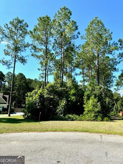 Statesboro, Georgia 30458, United States, ,Land,Pending,46085